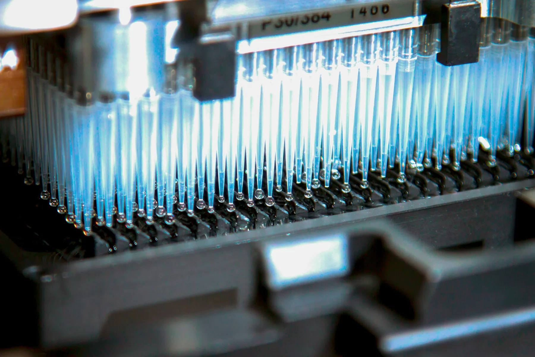 Analytical laboratory environment in sister-company network
